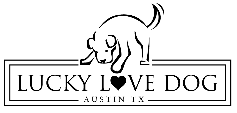 The logo for Lucky Love Dog.