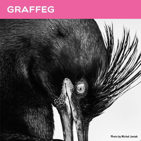 The logo for Graffeg Books.