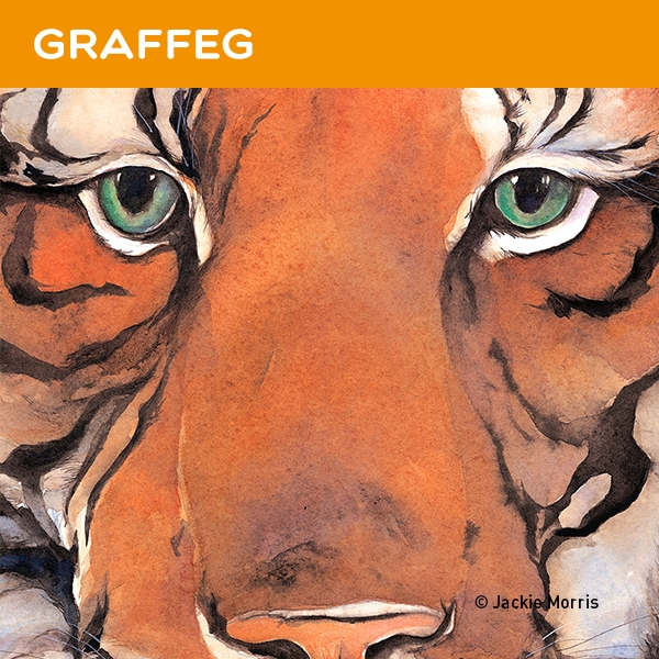 The logo for Graffeg Books.