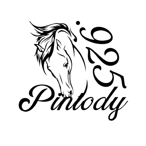 The logo for Pintody.
