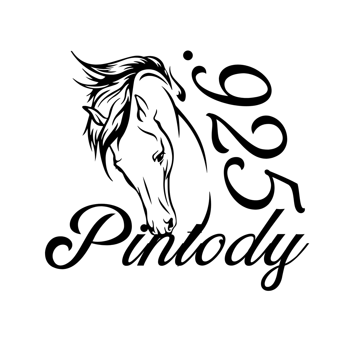 The logo for Pintody.