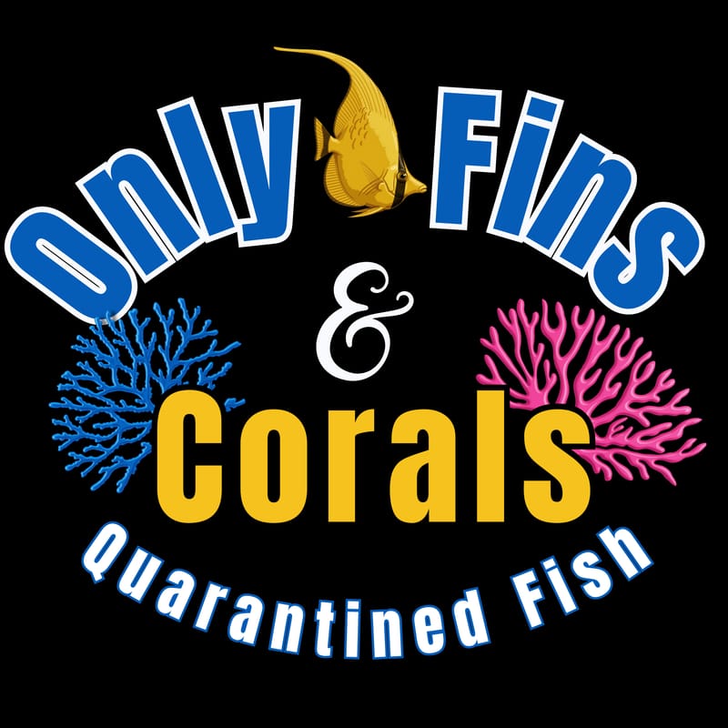 The logo for ONLY FINS AND CORALS.