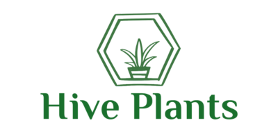 The logo for Hive Plants - The White Oak Collection .