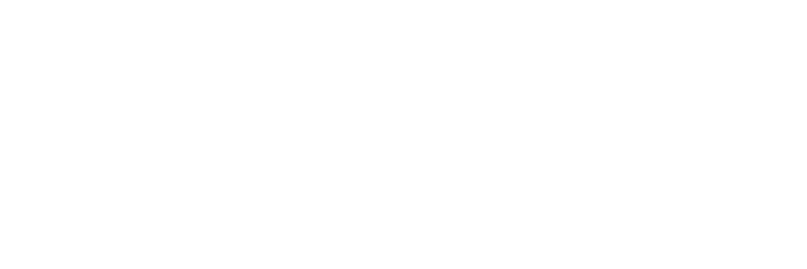 The logo for Lola Monroe Boutique.
