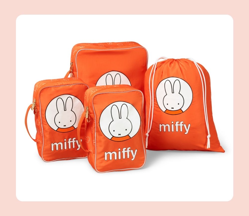 Mini Packing Cubes