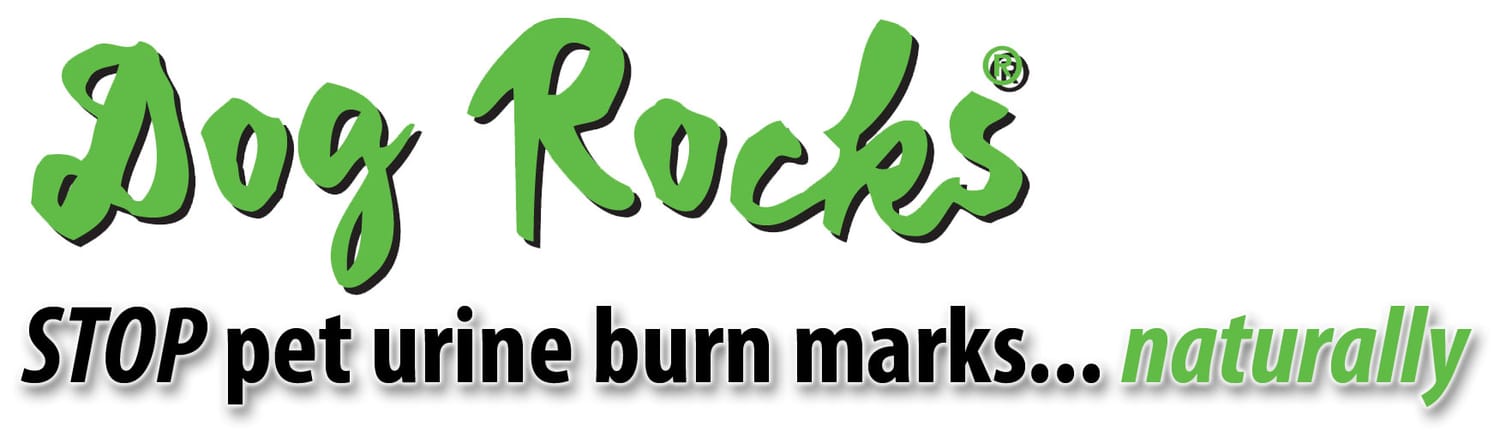 The logo for Dog Rocks UK.